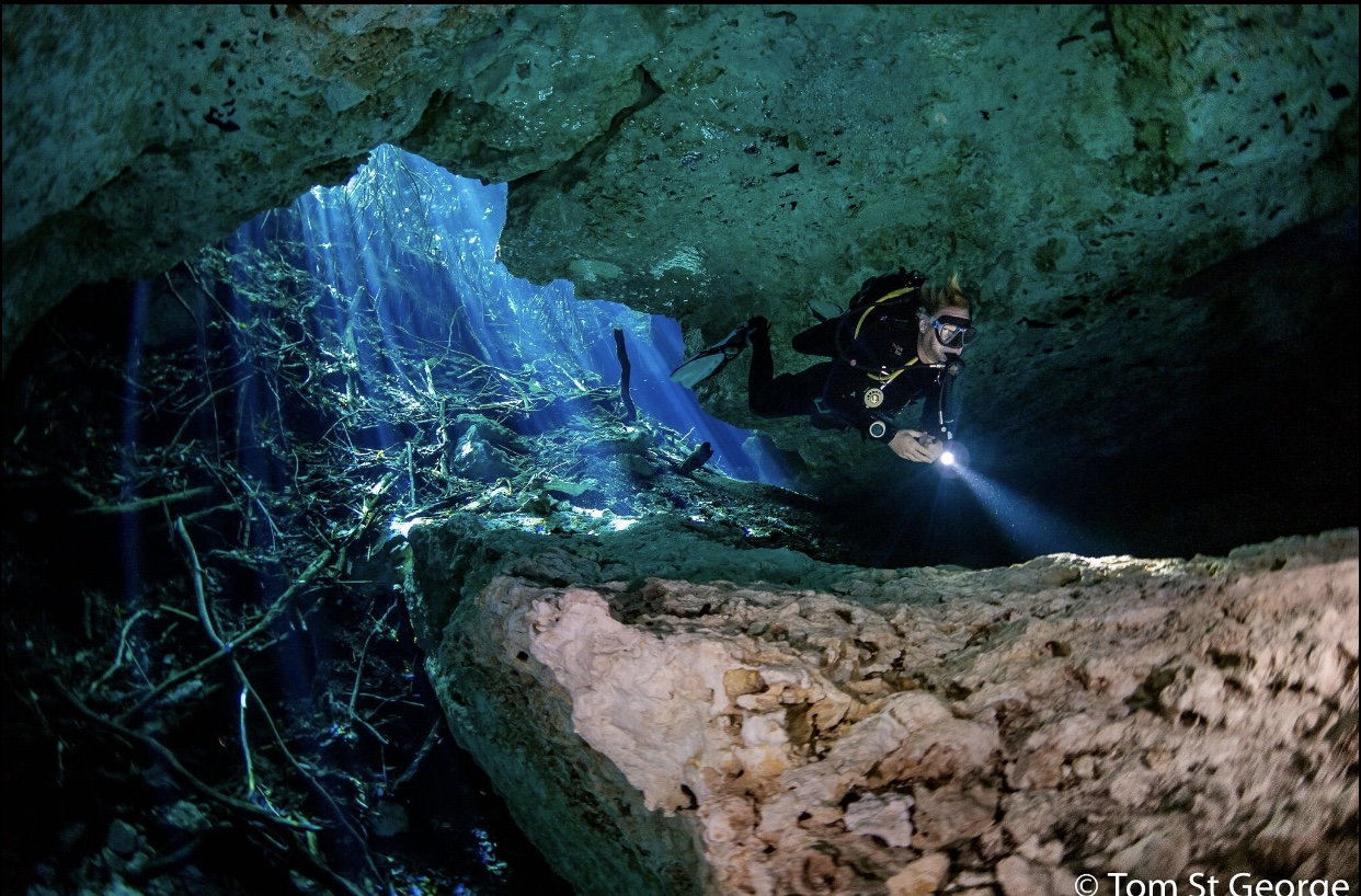 Dive into the Cenotes