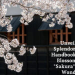 Unveiling the Splendor: Ultimate Handbook to ‘Cherry Blossom’ Season “Sakura” in Japan’s Wonderland