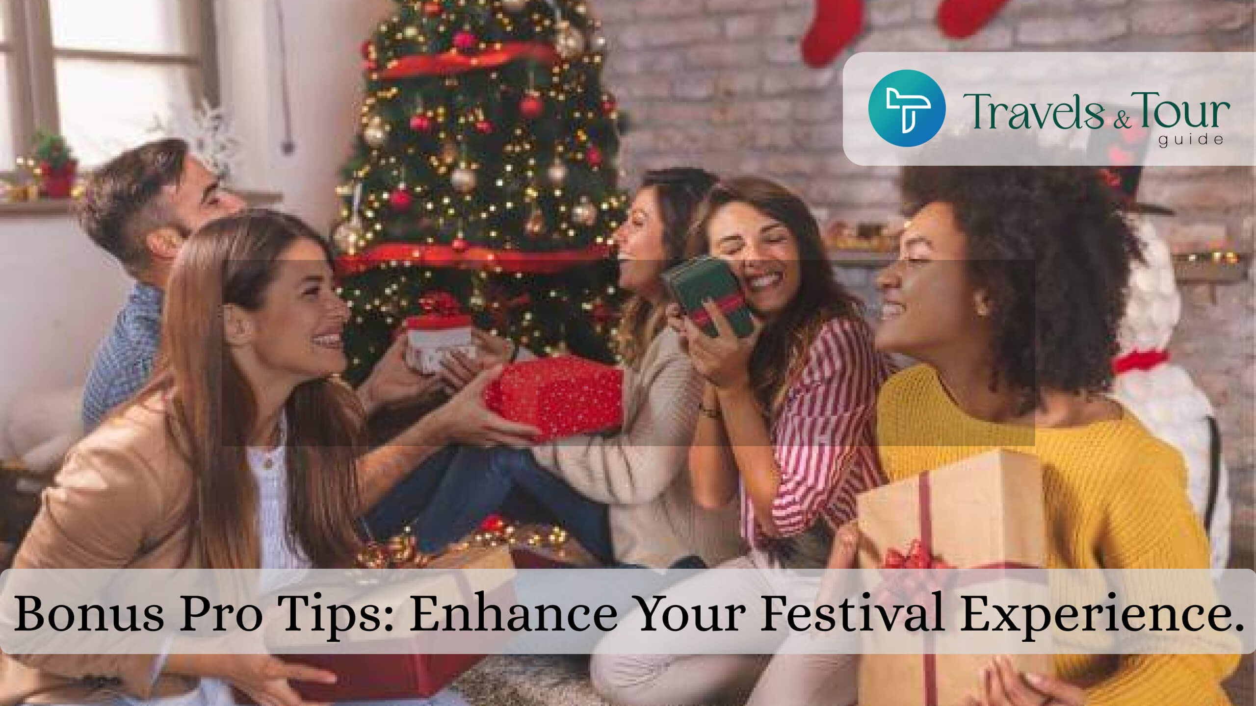 Festival Experience