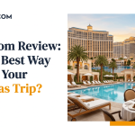 Vegas-img-1